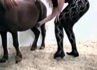 Couple and horse in the awesome zoophilia XXX
