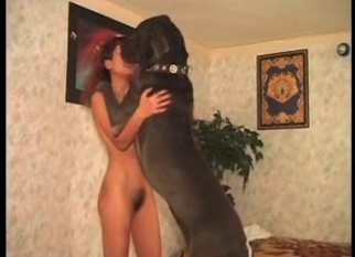 Owner and horny doggy enjoy dirty bestiality